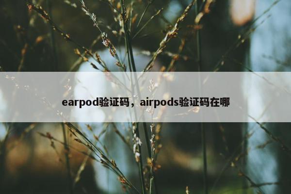earpod验证码，airpods验证码在哪