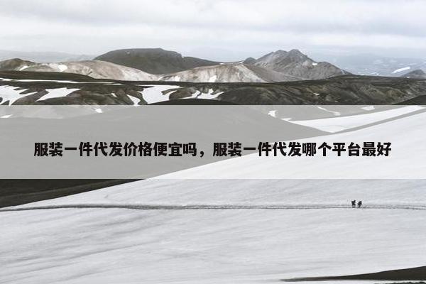服装一件代发价格便宜吗，服装一件代发哪个平台最好
