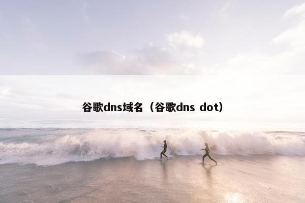 谷歌dns域名（谷歌dns dot）