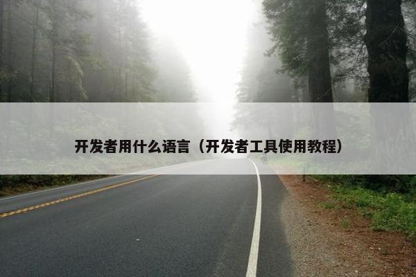 开发者用什么语言（开发者工具使用教程）