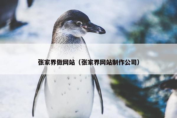 张家界做网站（张家界网站制作公司）