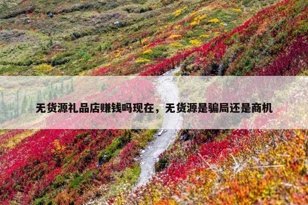 无货源礼品店赚钱吗现在，无货源是骗局还是商机