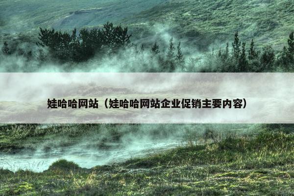 娃哈哈网站（娃哈哈网站企业促销主要内容）