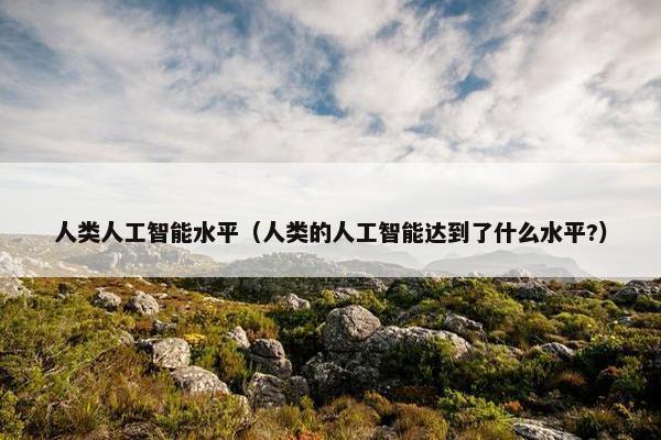 人类人工智能水平（人类的人工智能达到了什么水平?）