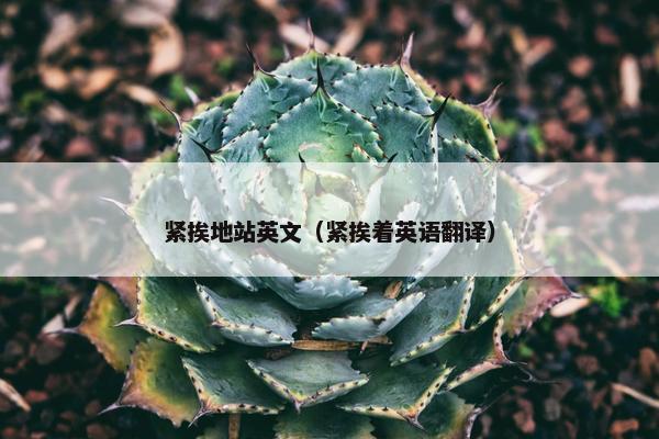 紧挨地站英文（紧挨着英语翻译）