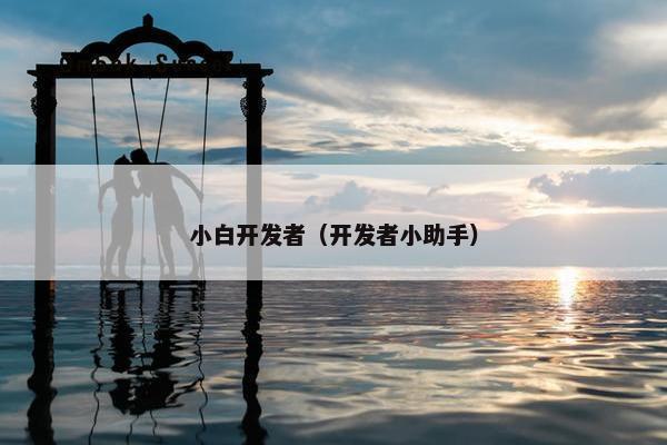 小白开发者（开发者小助手）