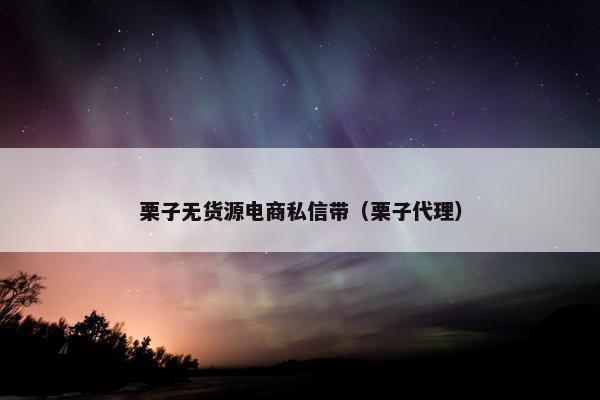 栗子无货源电商私信带（栗子代理）