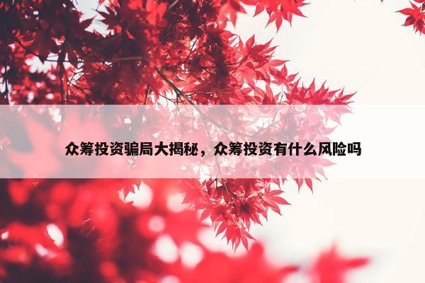 众筹投资骗局大揭秘，众筹投资有什么风险吗