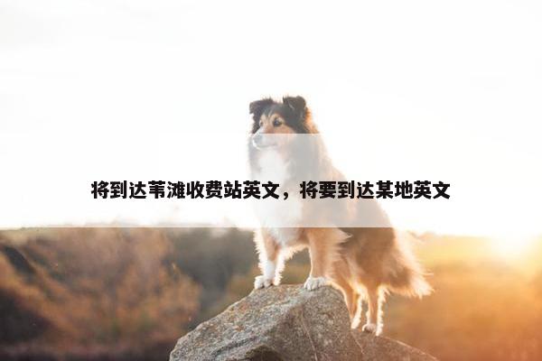 将到达苇滩收费站英文，将要到达某地英文