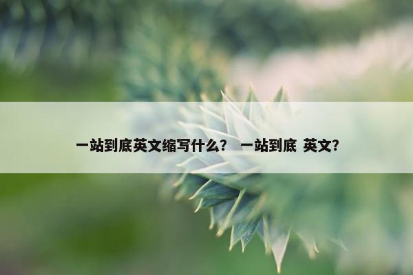 一站到底英文缩写什么？ 一站到底 英文？