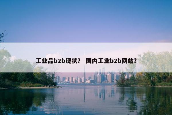 工业品b2b现状？ 国内工业b2b网站？