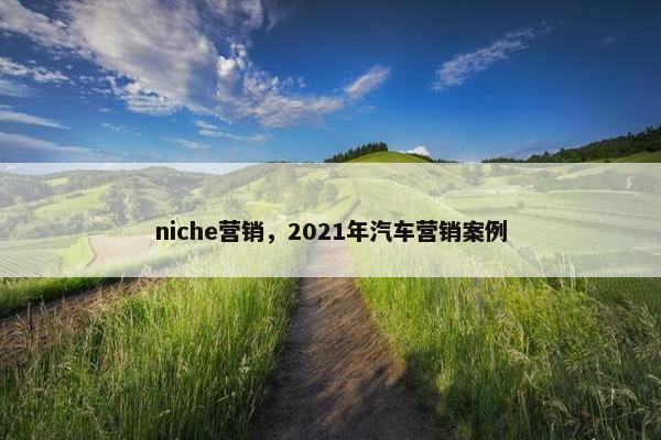 niche营销，2021年汽车营销案例