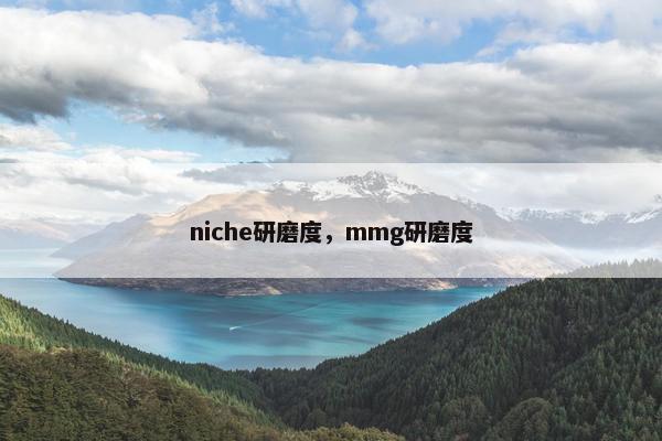 niche研磨度，mmg研磨度