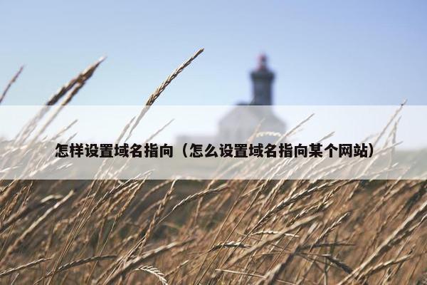 怎样设置域名指向（怎么设置域名指向某个网站）