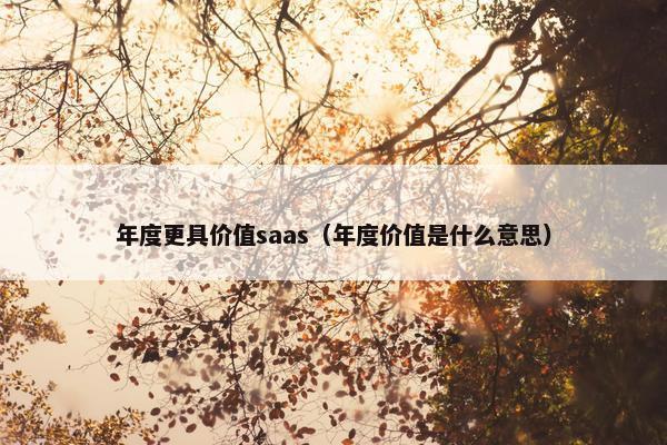 年度更具价值saas（年度价值是什么意思）
