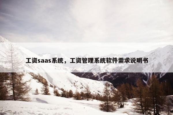 工资saas系统，工资管理系统软件需求说明书