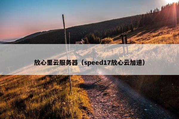放心里云服务器（speed17放心云加速）