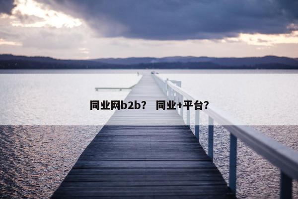 同业网b2b？ 同业+平台？