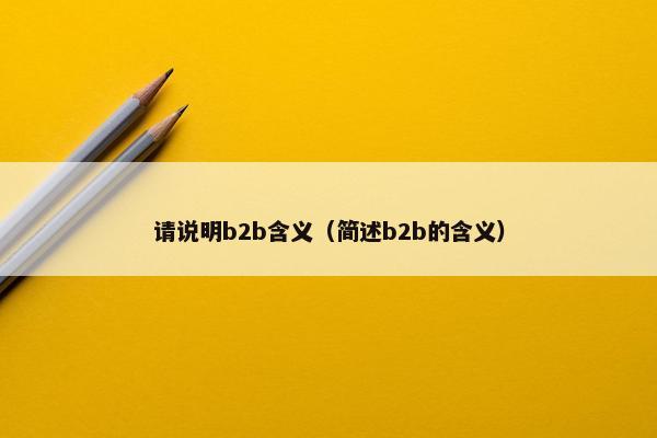 请说明b2b含义（简述b2b的含义）