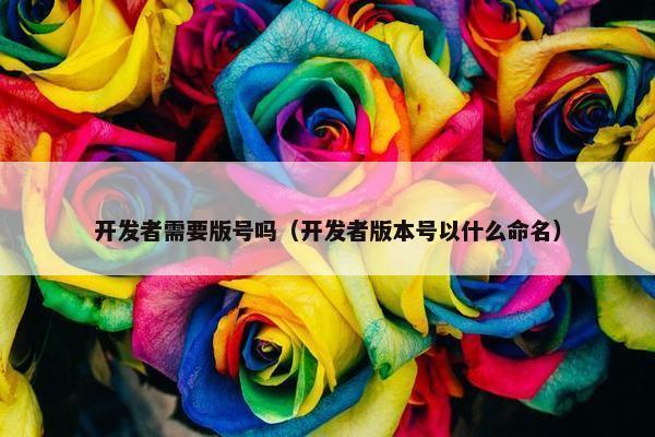 开发者需要版号吗（开发者版本号以什么命名）