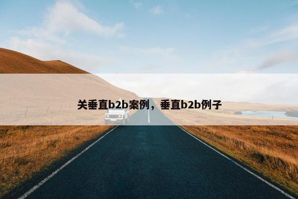 关垂直b2b案例，垂直b2b例子