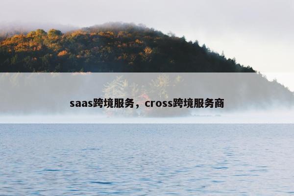 saas跨境服务，cross跨境服务商