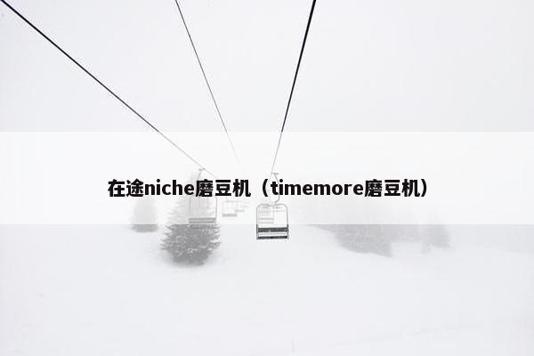 在途niche磨豆机（timemore磨豆机）
