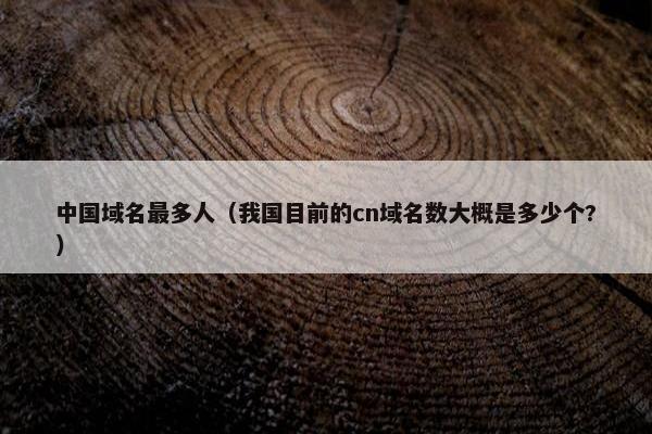 中国域名最多人（我国目前的cn域名数大概是多少个?）