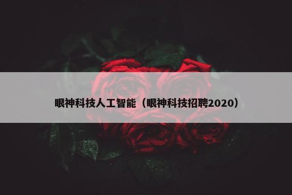 眼神科技人工智能（眼神科技招聘2020）