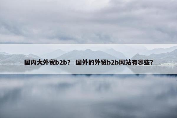 国内大外贸b2b？ 国外的外贸b2b网站有哪些？