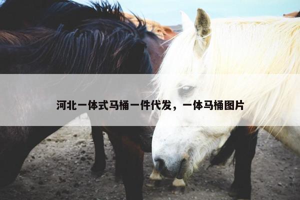 河北一体式马桶一件代发，一体马桶图片