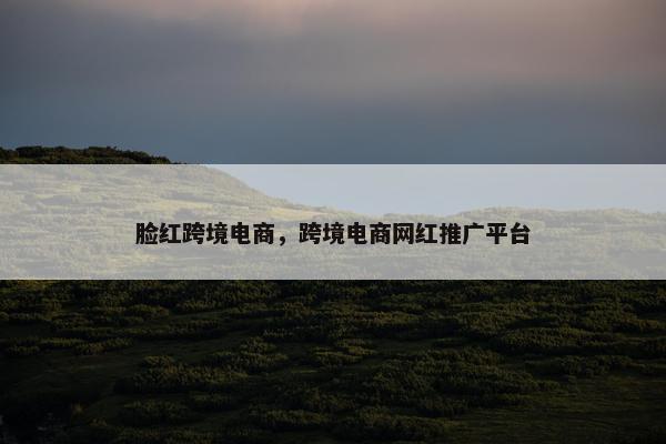 脸红跨境电商，跨境电商网红推广平台