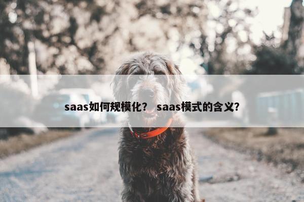 saas如何规模化？ saas模式的含义？