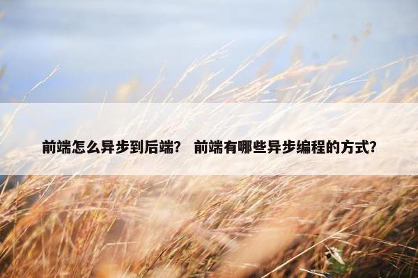 前端怎么异步到后端？ 前端有哪些异步编程的方式？