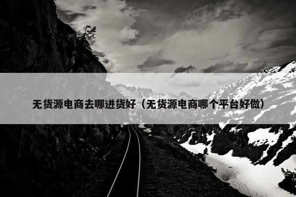 无货源电商去哪进货好（无货源电商哪个平台好做）
