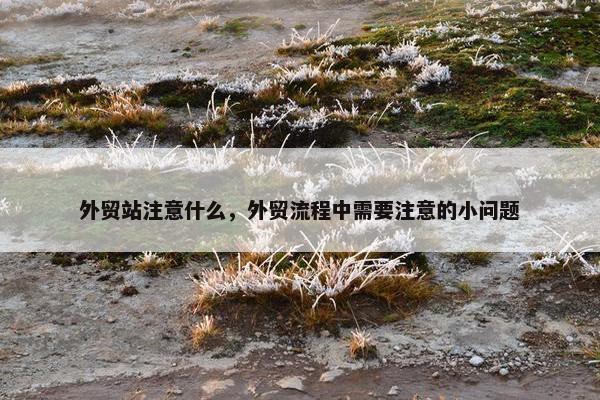 外贸站注意什么，外贸流程中需要注意的小问题