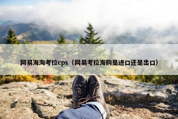 网易海淘考拉cps（网易考拉海购是进口还是出口）