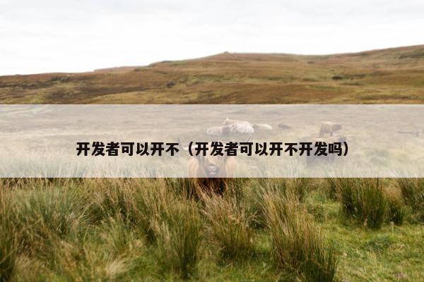 开发者可以开不（开发者可以开不开发吗）
