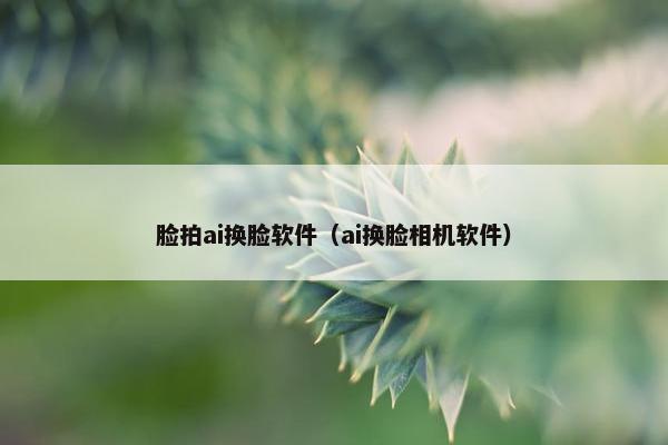 脸拍ai换脸软件（ai换脸相机软件）