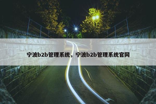 宁波b2b管理系统，宁波b2b管理系统官网