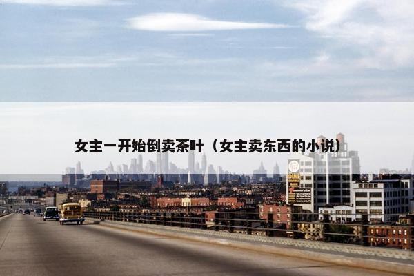 女主一开始倒卖茶叶（女主卖东西的小说）