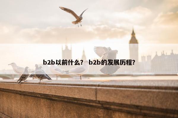 b2b以前什么？ b2b的发展历程？