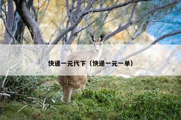 快递一元代下（快递一元一单）