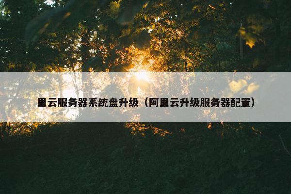 里云服务器系统盘升级（阿里云升级服务器配置）