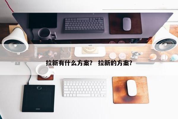 拉新有什么方案？ 拉新的方案？