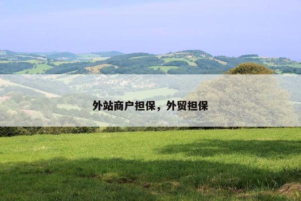 外站商户担保，外贸担保