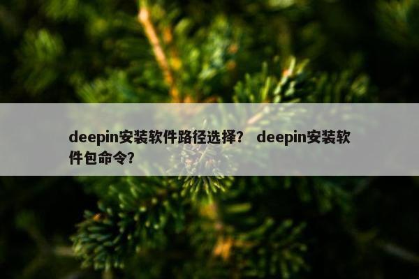 deepin安装软件路径选择？ deepin安装软件包命令？