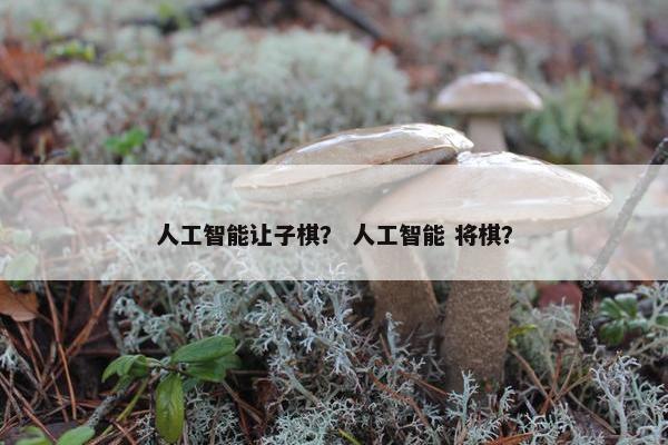 人工智能让子棋？ 人工智能 将棋？