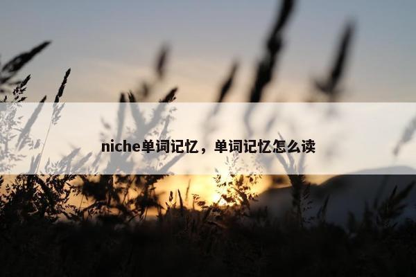 niche单词记忆，单词记忆怎么读