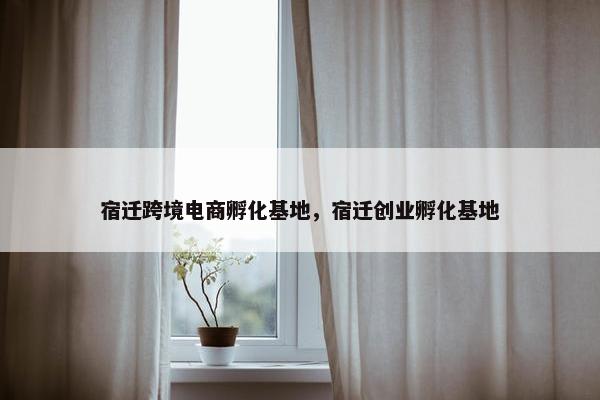 宿迁跨境电商孵化基地，宿迁创业孵化基地